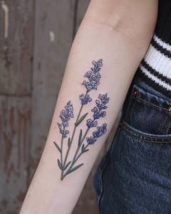 hyacinth tatoo g