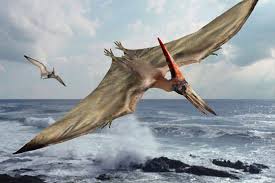 pterodactyl g