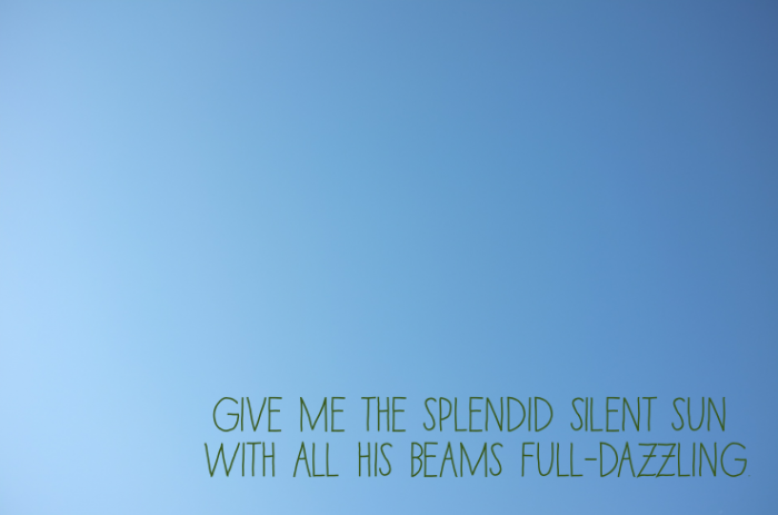 Screen-Shot-2012-07-29-at-12.56.52-PM-700x463