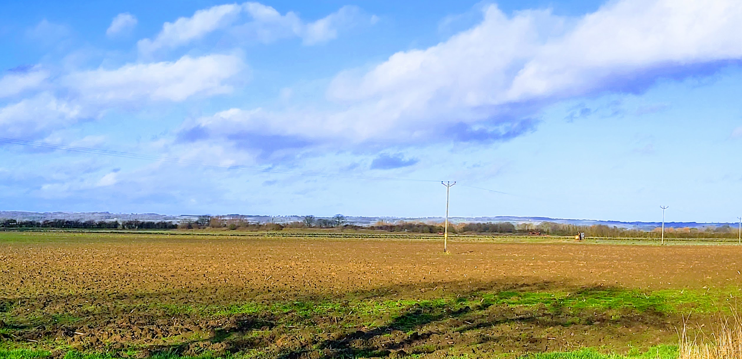 the east-fen planes where wanders my lonely heart
