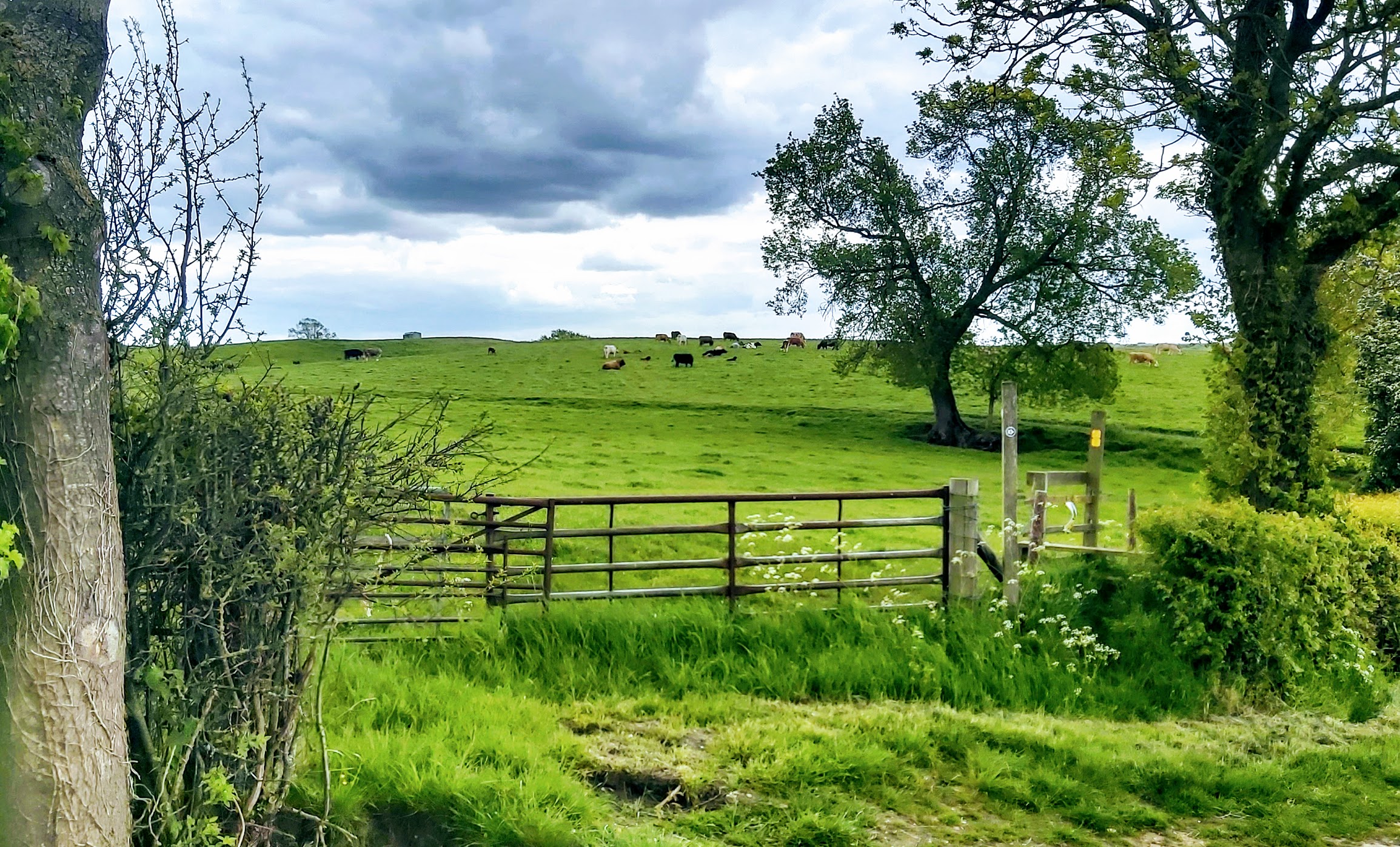 FIELD IN OLD BOLINGBROKE 1