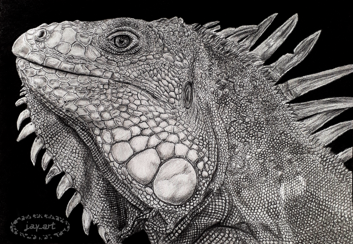 IGUANA